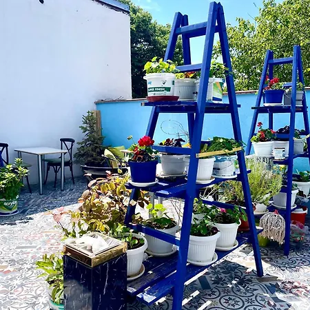 Regina Bed&wine Varna